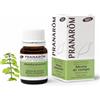 Pranarom Olio Essenziale Menta Campestre Parti Aeree 10 ml Soluzione orale