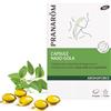 Pranarom Aromaforce Capsule Naso-Gola 12,75 g