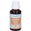 Herbalgem Memogem Memoria Concentrato di Gemme Fresche Gocce 30 ml Soluzione orale