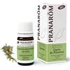 Pranarom Olio Essenziale Cipresso Ramo 5 ml essenziale