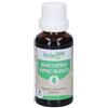Herbalgem Biancospino Gemme Concentrato di Fresche Gocce 30 ml Soluzione orale