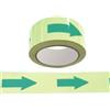 CARTELLI SEGNALATORI Nastro fotoluminescente adesivo - 4 cm x 10 m - giallo-frecce verdi (unità vendita 1 pz.)