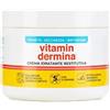 Istituto Ganassini VITAMINDERMINA CREMA 400 ML SP