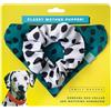 Emily Brooks COLLARE CANE BANDANA E FERMACODA IN ABBINAMENTO