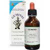 HERBOPLANET GEMINIS GOCCE 100 ML