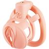 Sevanda Pink Pride Chastity Cage Long