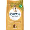 Forza10 Maintenance Dog Forza10 Maintenance Medium Adult al Pollo con Patate Crocchette cane - Set %: 2 x 12 kg