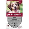 ADVANTIX 6 pipettes antiparasitaires - Pour chien moyen de 10 a 25kg