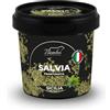 Bembo Qualità d'Autore Salvia Siciliana 150 g - Foglie di Salvia Italiana Frantumata e Essiccate al Sole di Sicilia - Ottima per Salse e Sughi, Soffritti o abbinate a Carni Bianche e Legumi.