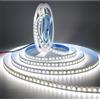 Tesfish Striscia LED 24V, Bianco 6000K Strisce 5M Striscia Luminosa SMD 5050 IP20 600 LEDs Flessibile Strip Nastri per Camera da letto, Cucina, Decorazione Pubblicitaria