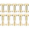 QUARKZMAN 10pz Viti Chicago in Ottone, 4x10x10mm Fissaggio per Rivetti Borchie Chiodi Vite a Testa Piatta Struttura Floreale per Cinturino da Cintura Artigianale in Pelle Fai-Da-Te
