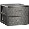 Acan Tradineur - Cassettiera in rattan di plastica, 2 cassetti, torre multiuso, organizer ausiliario, stoccaggio, bagno, 31,5 x 36,5 x 36,5 x 36,5 cm, colore: antracite