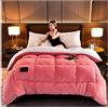 BDMFJY Trapunta Invernale, Cristallo Velluto + Similpelle Doppia Cashmere Imitazione Agnello, Imbottitura in Cotone Pieno, Coperta Pesante per Letto Matrimoniale in Inverno,B,200x230cm(3kg)