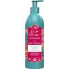 Tesori d´oriente Tesori d'Oriente Hair Programma Shampoo aromatico Ayurveda 250 ml