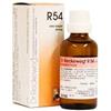 Dr. Reckeweg R54 Gocce Omeopatiche 22 Ml