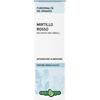 ERBA VITA ESTRATTI LIQUIDI Erba Vita Group Mirtillo Rosso Foglie Soluzione Idroalcolica 50 Ml Ebv