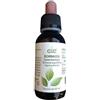 ADAMAH SRL Adamah Adama Eie Echinacea Gocce 60 Ml Omeopatia