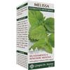 Dr.giorgini Ser-Vis Melissa Estratto Integrale 200 Ml