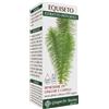 DR.GIORGINI Dr. Giorgini Equiseto Estratto Integrale Integratore Articolare 200 Ml