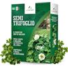 LERAVA® Trifoglio Nano semi prato [Non Richiede Taglio] - 125m² - Semi trifoglio nano per prato - Fissa l'azoto e Migliora la fertilità del suolo - Trifoglio semi con fioritura bianca - 500g