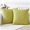 Artscope 2 Pezzi Federe per Cuscini in Finto Lino 50x50cm, Erba Verde | Minimalista Copricuscini Decorativo per Domestica Soggiorno Camera da Letto Divano