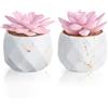 ZENIDA Piante artificiali in vaso in ceramica, 2 pezzi piante grasse artificiali, piante d'appartamento, decorazione per camera da letto, soggiorno, bagno, ufficio, scrivania, vaso bianco con venature