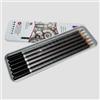 Derwent Set 6 Matite in Grafite Derwent, per tecnica del chiaro scuro