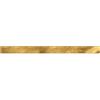 PROGRESS PROFILES SPA Profili alluminio piatto oro - mm 30x2 - mt.2