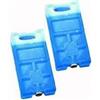 ICE BLOCKS Ghiaccio sintetico mattonella block conf.n.2x400 ml