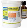 PROCHIMA Gomma siliconica prochima GLS-10 con catalizzatore kg 1