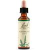 SCHWABE PHARMA ITALIA Schwabe Fiori Di Bach 01 Agrimony Gocce 20ml