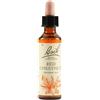 SCHWABE PHARMA ITALIA Schwabe Fiori Di Bach Red 25 Chestnut Gocce 20ml