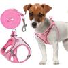 heavenlife Imbracatura per Gatti, Pettorina per Cani Piccola Taglia Riflettente, Set di Pettorina e Guinzaglio Regolabile 1,5m, Pettorina in Maglia Traspirante per Cuccioli (Rosa, S)