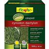 Flower SEMI CYNODON DACTILON