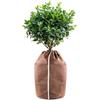 Hydrogarden Borsa di Protezione per Piante in Vaso Protezione Termica per Vaso, Borsa di Protezione per Piante di Palme da Balcone, 60 x 90 cm