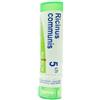 BOIRON SRL RICINUS COMMUNIS 5CH 80GR 4G
