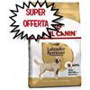 ROYAL CANIN CANE LABRADOR RETRIEVER ADULT 12 KG