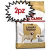 ROYAL CANIN CANE LABRADOR RETRIEVER ADULT 12 KG PREZZO A CONFEZIONE