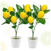 XIAQICA 2 pezzi Limoni Decorativi Rami di Limoni Artificiali Pianta di Limone Finta Piante Artificiali da Esterno per Decorazione del Tavolo Della Libreria Dell'ufficio della Camera