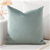 Artscope Federe Cuscini in Velluto Minimalista Copricuscino Colorato per la Decorazione Domestica Soggiorno Camera da Letto Divano 40x40cm, Grigio Chiaro
