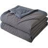 RRNAR Piumino Estivo Letto Matrimoniale Piumone Leggero Coperta Trapunta Sottile in 100% Cotone Lavato Anallergico, Lavabile in Lavatrice,H,150x200cm