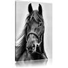 Pixxprint cavallo marrone Stampa su tela 60x40 cm artistica murale