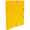 Exacompta 20 raccoglitori cartoncino lucido A4 2 anelli giallo