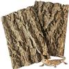 Fhiny 2 sfondi in Corteccia di Sughero, 29,5 x 19,6 cm, Corteccia di Sughero Naturale, per rettili, rettili, Arrampicata, Parete, terrario, Accessori Decorativi per Tartaruga, Drago, Camaleonte,
