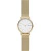 Skagen Signatur Lille Orologio da donna, Movimento al quarzo a due lancette in tonalità oro con cinturino in acciaio inossidabile o in pelle
