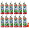 San Pellegrino 12x ACE Wc Gel Disincrostante,detergente per WC con sistema multigetto,700ml +1x Gingerino Recoaro Aperitivo Italiano 10cl IN OMAGGIO