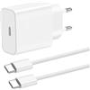 ZLONXUN Caricatore 20W Alimentatore compatibile con iPad Pro 12.9 3Gen/11 1 Gen and up, Air 5th/Air 4th, 2022 iPad 10th Mini 6th.Caricabatterie e Cavo USB C 1,5 Metri