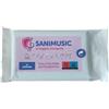 SANIMUSIC - Salviette per strumenti musicali - Pulizia intelligente per la cura e la manutenzione del tuo strumento musicale - 10 unità