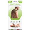FIT THERAPY | Cerotti Antinfiammatori Spalla | Riduce Dolori e Traumi alla Spalla | Dispositivo Medico, NON SCALDA, Resistente all'Acqua, Senza farmaci, Dura 5 giorni (10 Cerotti)