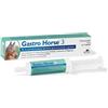NBF Lanes Horse NBF Lanes Gastro Horse 3 pasta 100g integratore per cavalli